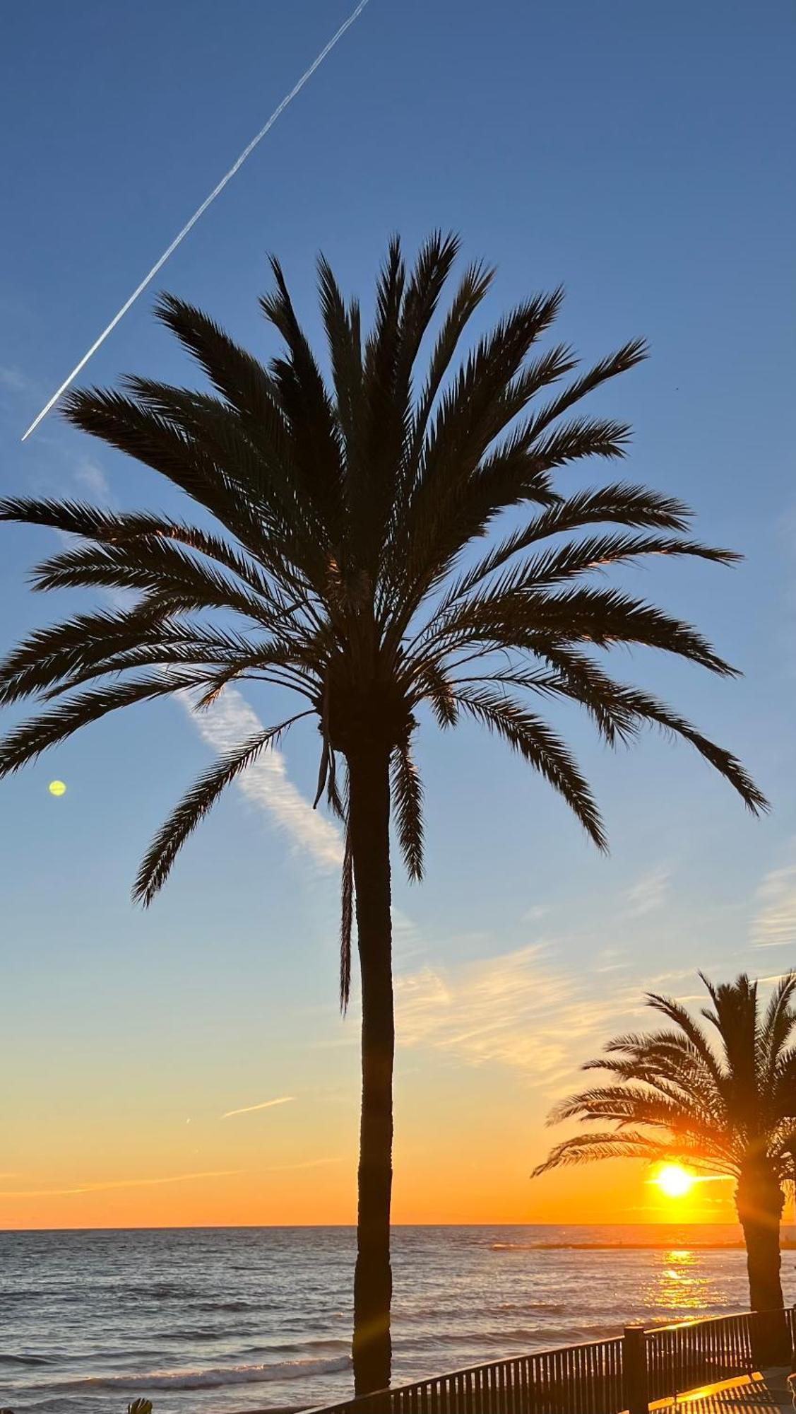 Apartamento Al Parque Marbella, Cerca De Mar Y Centro De ماربيا المظهر الخارجي الصورة
