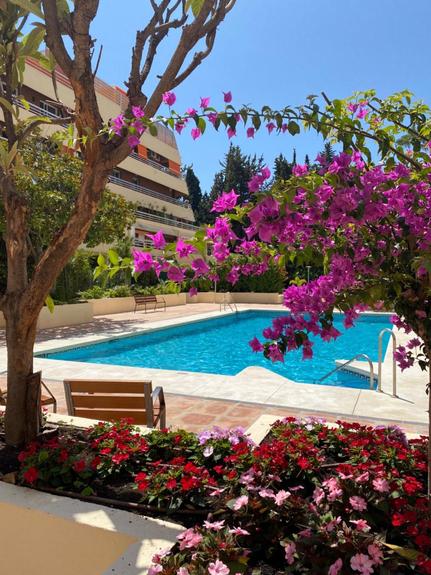 Apartamento Al Parque Marbella, Cerca De Mar Y Centro De ماربيا المظهر الخارجي الصورة